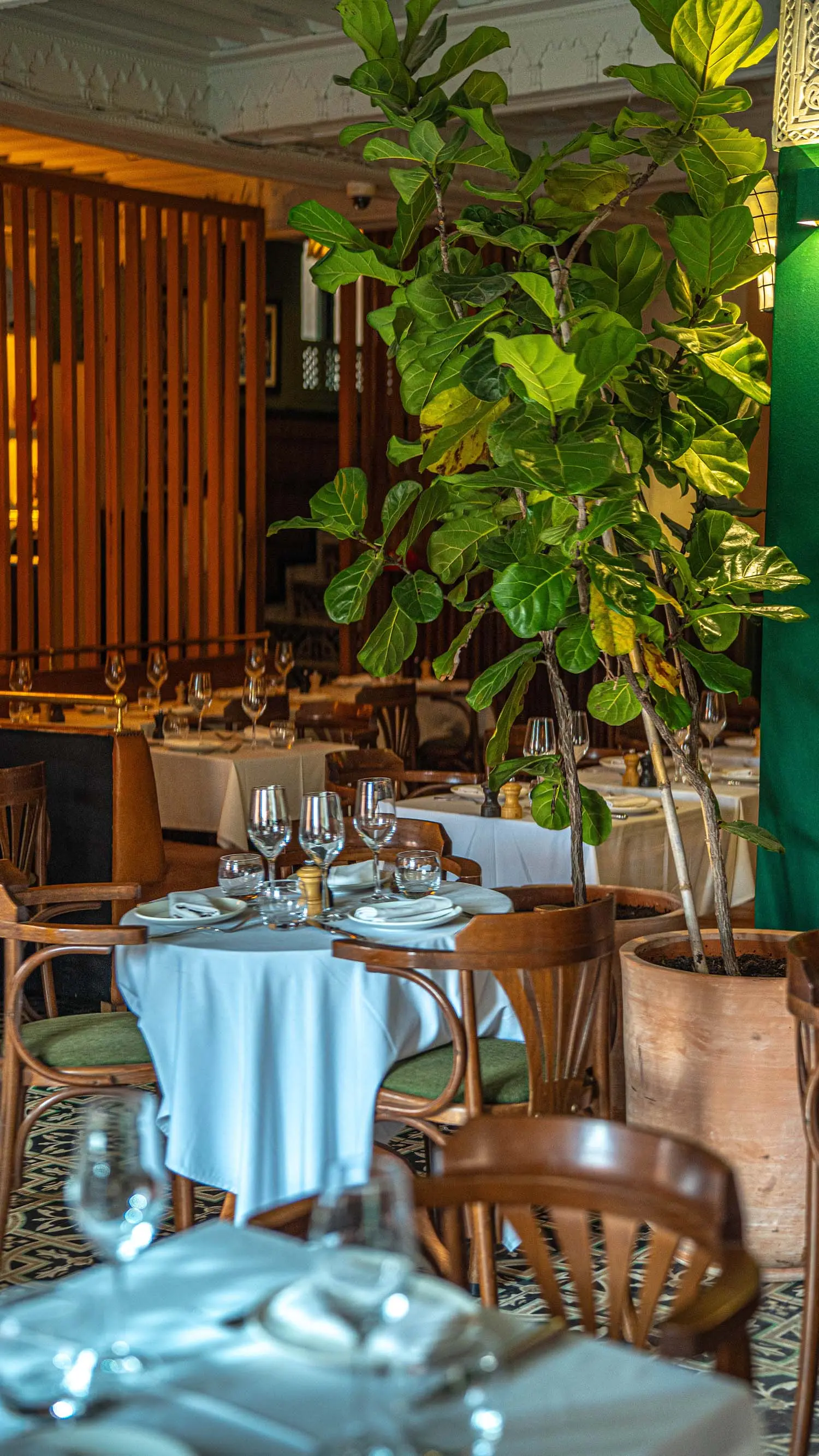 Evening dining on the oriental rooftop terrace of Le Salama Marrakech